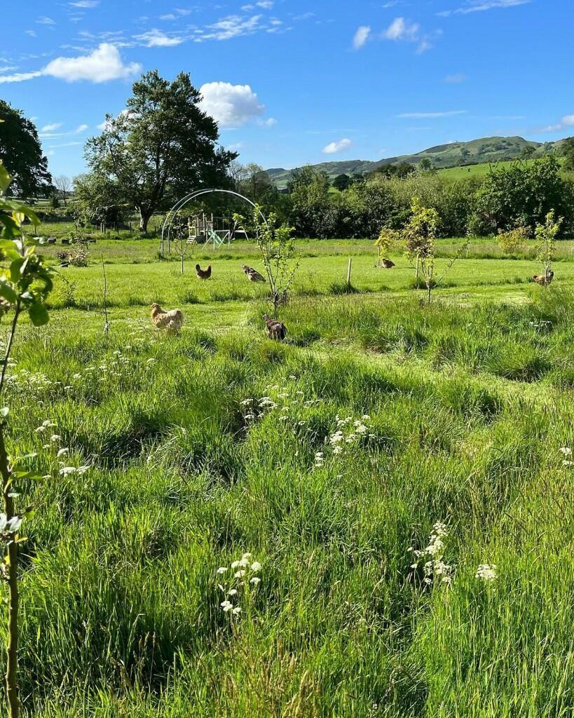 Additional image 38 of Beech View, High Road, Lockerbie, Dumfriesshire, DG11 1JS