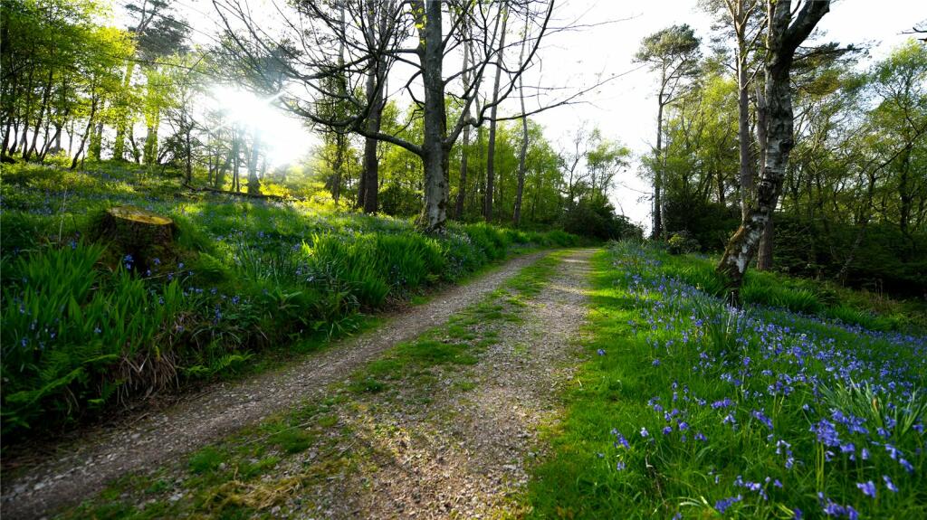 Additional image 10 of The Old Lifeboat Station, Auchencairn, Castle Douglas, Dumfries & Galloway, South West Scotland, DG7