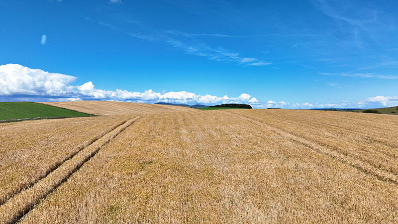 Additional image 7 of Land at Little Balsier