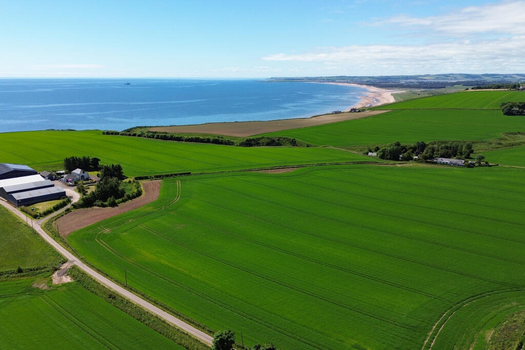 Additional image 38 of Bush, St Cyrus, DD10