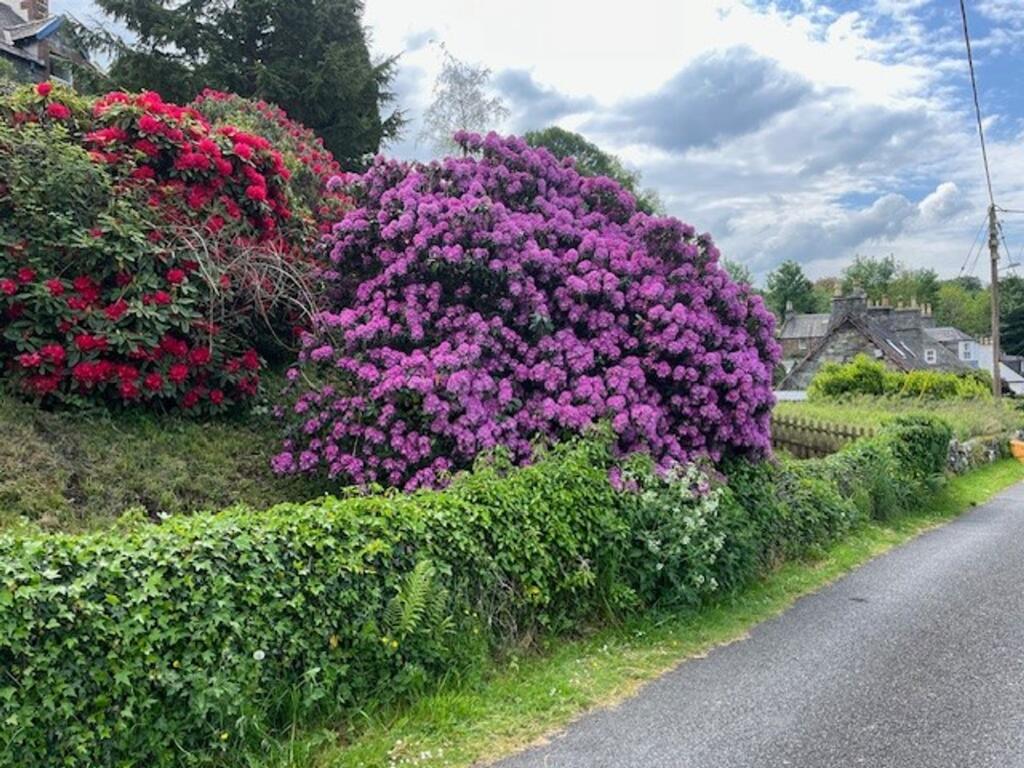 Additional image 32 of Old Edinburgh Road, Minnigaff, DG8