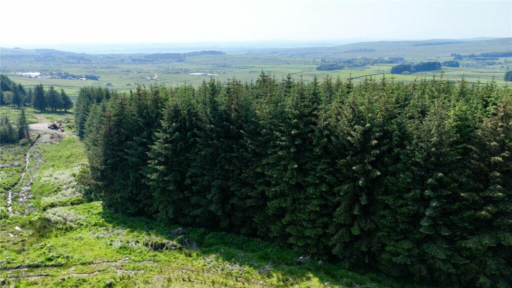 Additional image 6 of Glenquicken Estate, Creetown, Newton Stewart, Dumfries and Galloway, South West Scotland, DG8