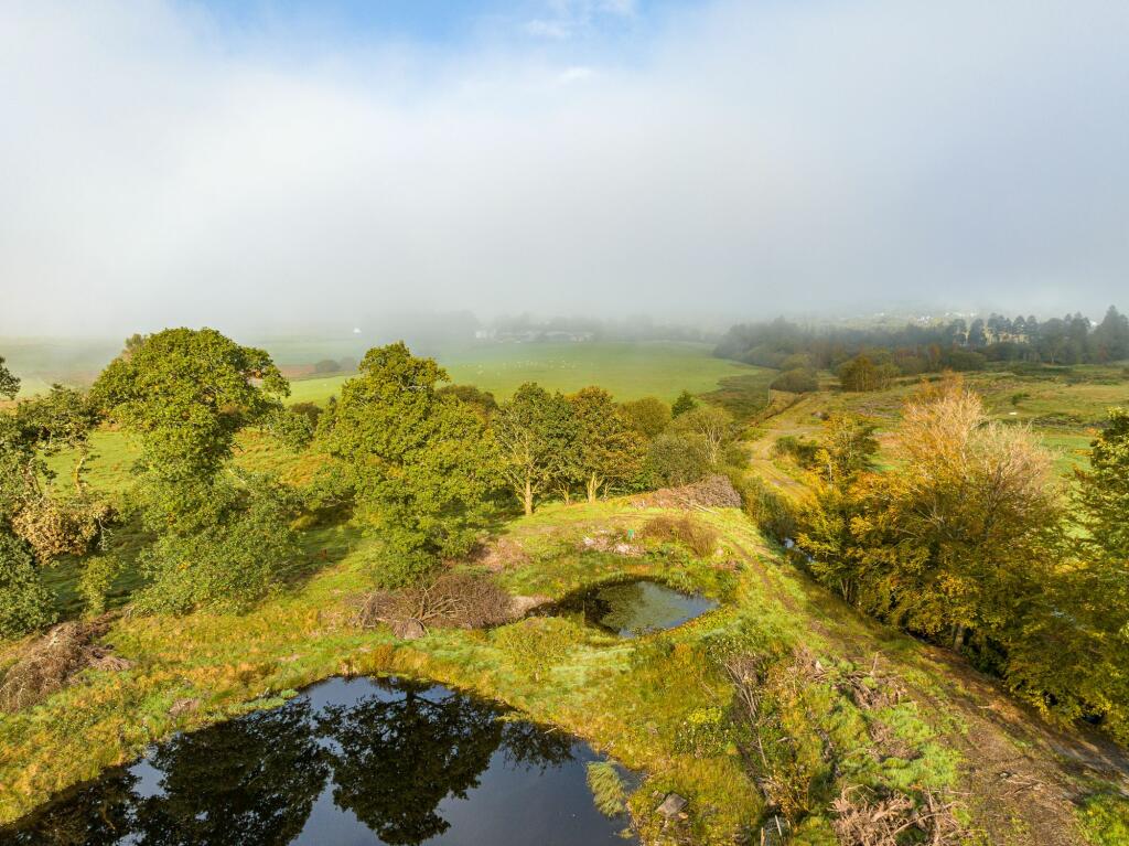 Additional image 19 of Westwinds, Moffat, DG10