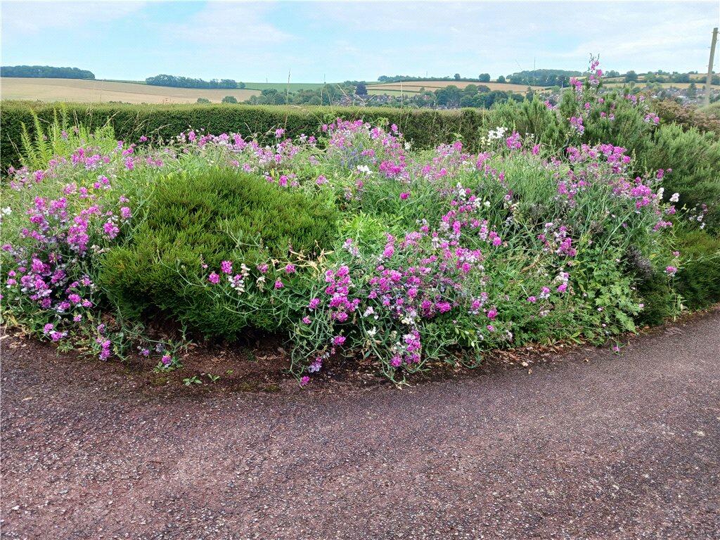 Additional image 7 of Sparepenny Lane, Eynsford, Dartford