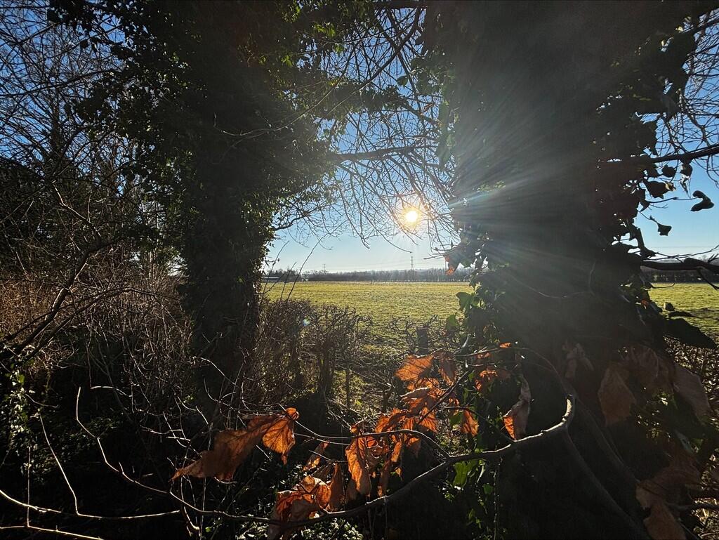 Additional image 22 of Kingsley Road, Crowton, Northwich