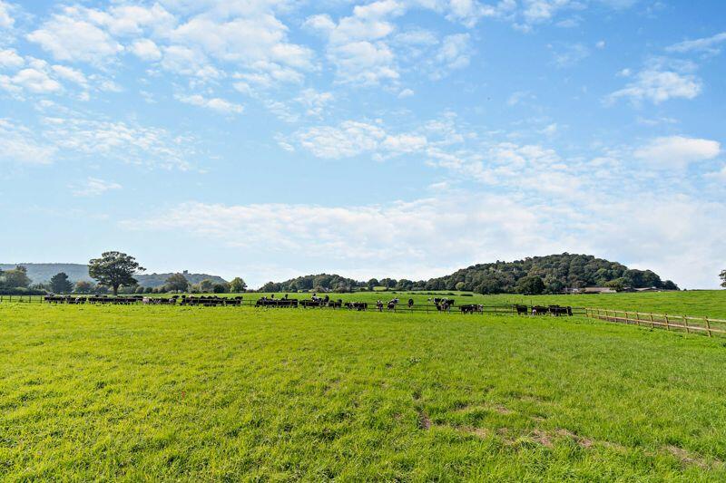 Additional image 17 of Brook Lane, Tarporley