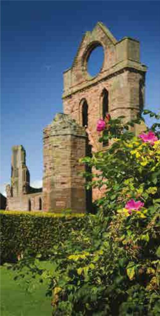 Additional image 11 of Earl Matthew Avenue, Arbroath, Angus, DD11