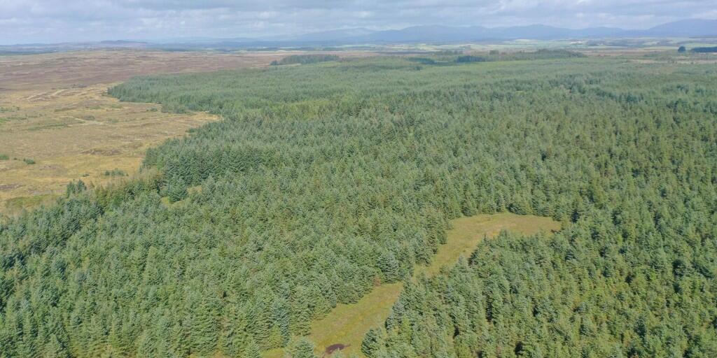 Additional image 7 of Crailloch Moss Wood, Galloway DG8