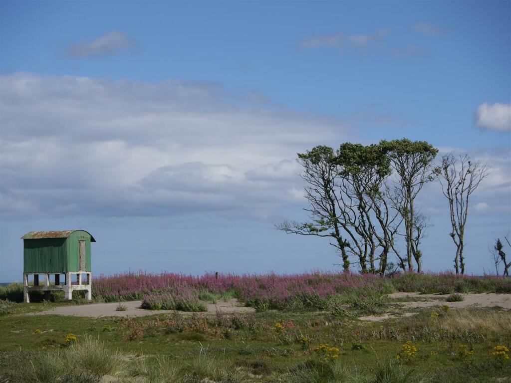 Additional image 19 of Isla Place, Tayport