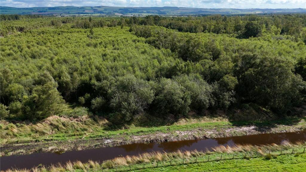 Additional image 17 of Fleet Forest, Fleet Forest, Dumfries, Dumfries & Galloway, South West Scotland, DG1