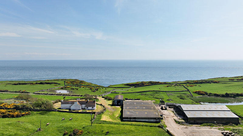 Additional image 9 of Cutreoch & Morrach Farms