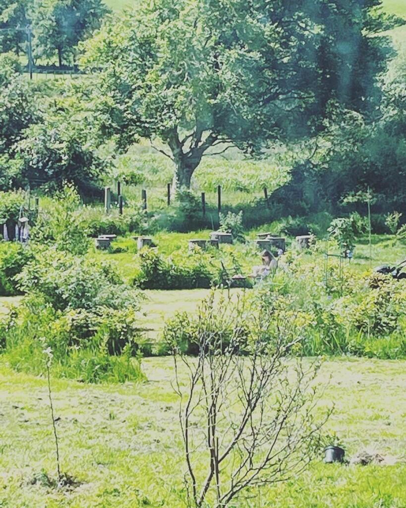 Additional image 42 of Beech View, High Road, Lockerbie, Dumfriesshire, DG11 1JS