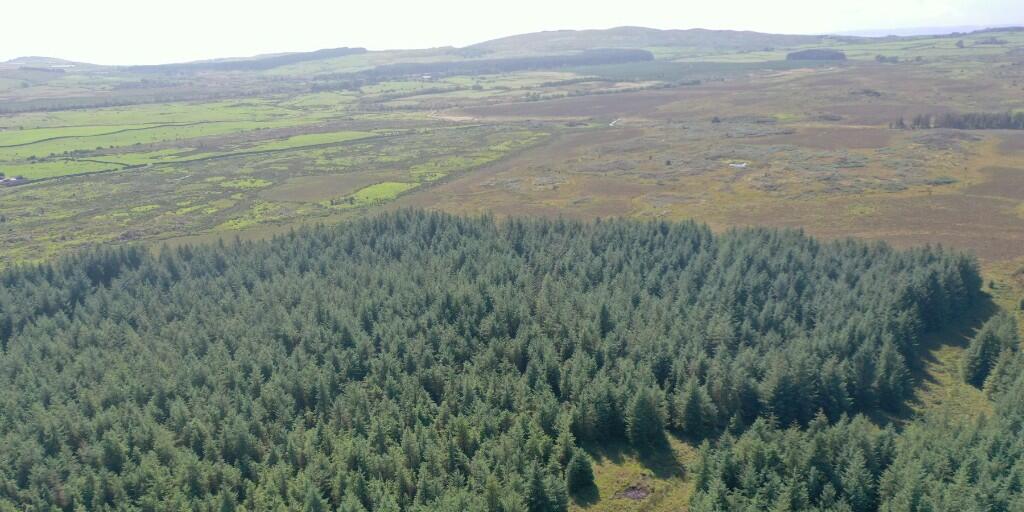 Additional image 6 of Crailloch Moss Wood, Galloway DG8
