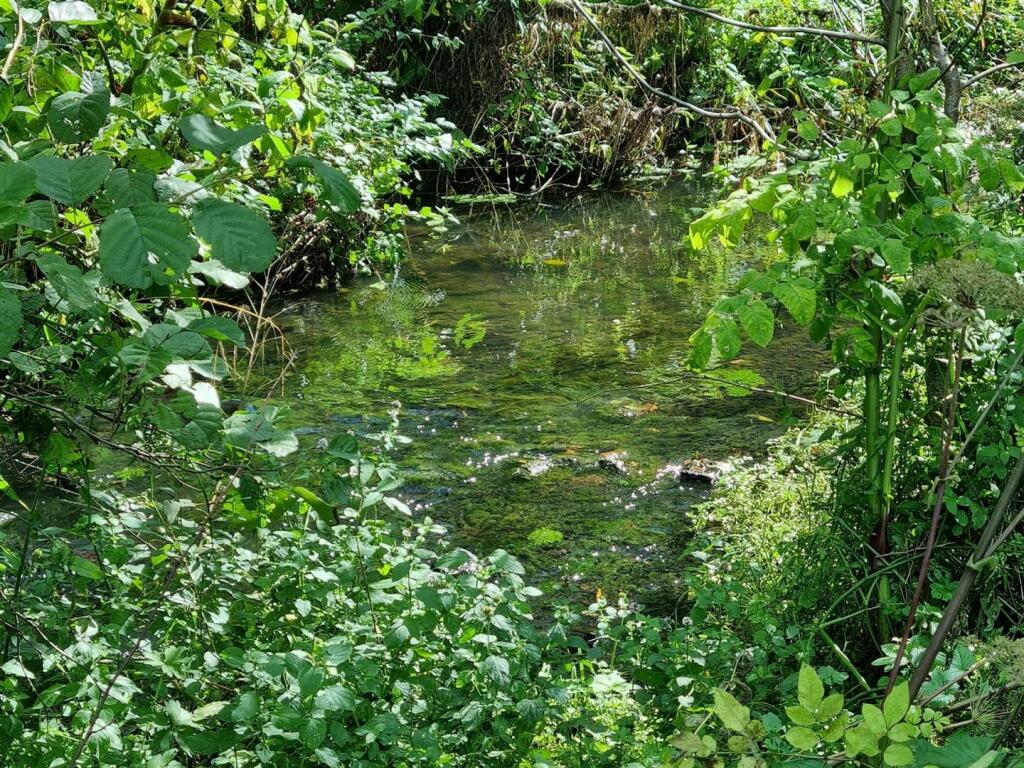 Additional image 4 of Land at Repton, Near Derby