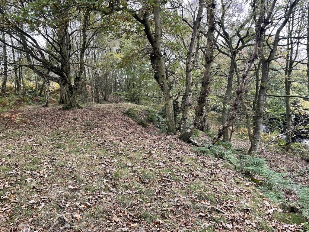 Additional image 6 of Land at Wallnook Lane, Langley Park, Durham