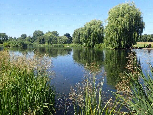 Additional image 5 of Riverside Road, Sidcup, DA14