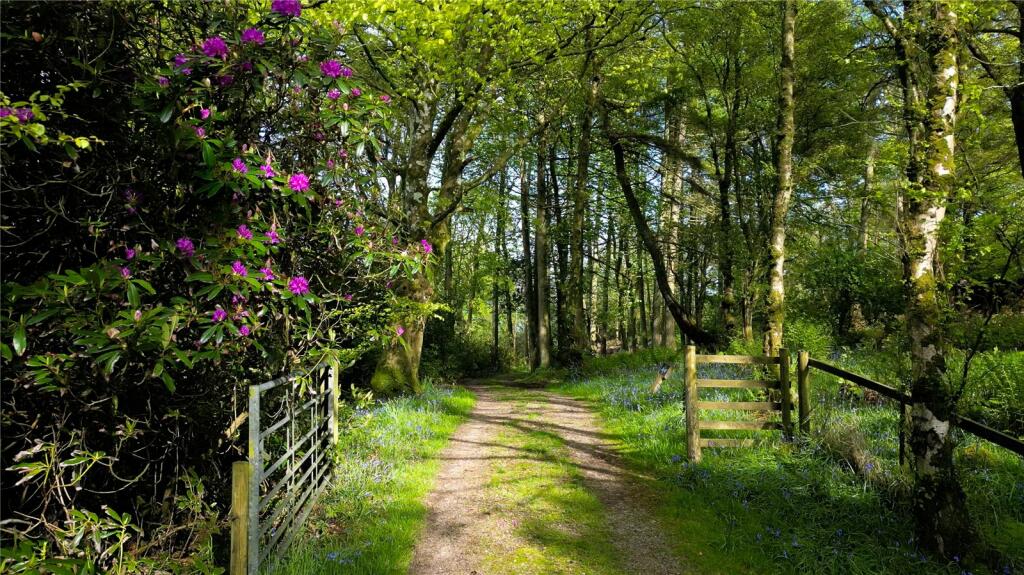 Additional image 9 of The Old Lifeboat Station, Auchencairn, Castle Douglas, Dumfries & Galloway, South West Scotland, DG7