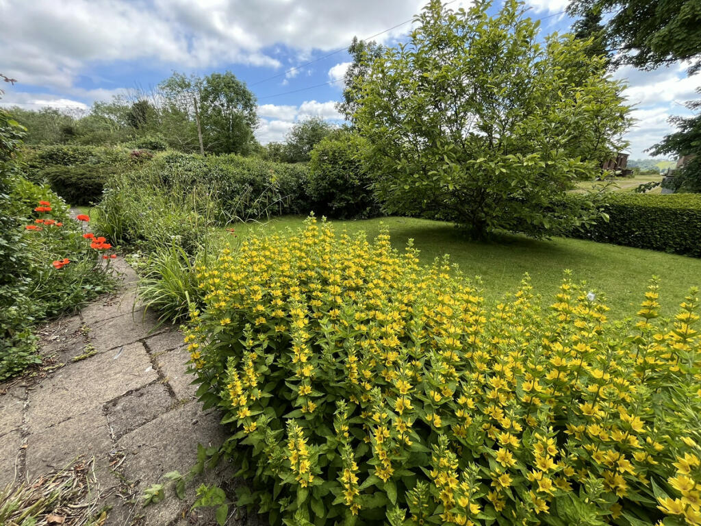 Additional image 24 of Windmill Lane, Ashbourne, DE6