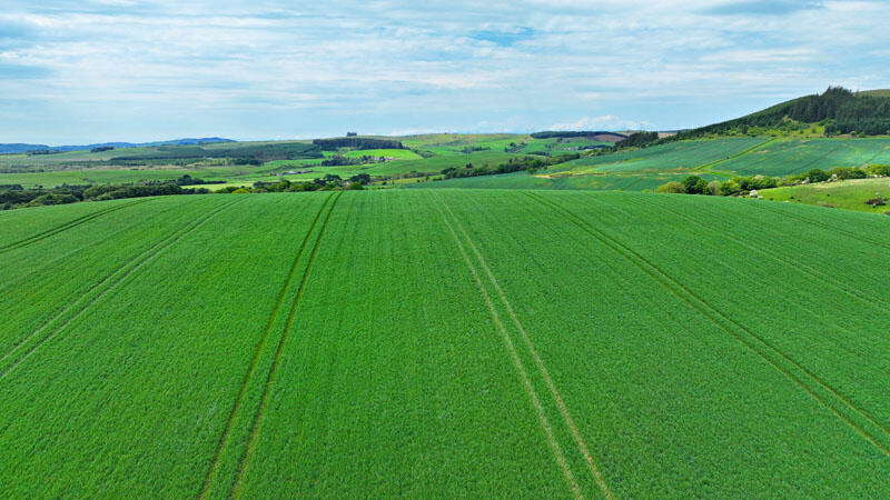 Additional image 12 of Townhead Farm Steading & Land