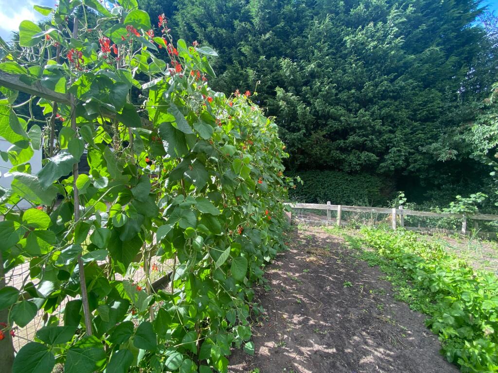 Additional image 31 of Cemetery Road, Weston, Crewe