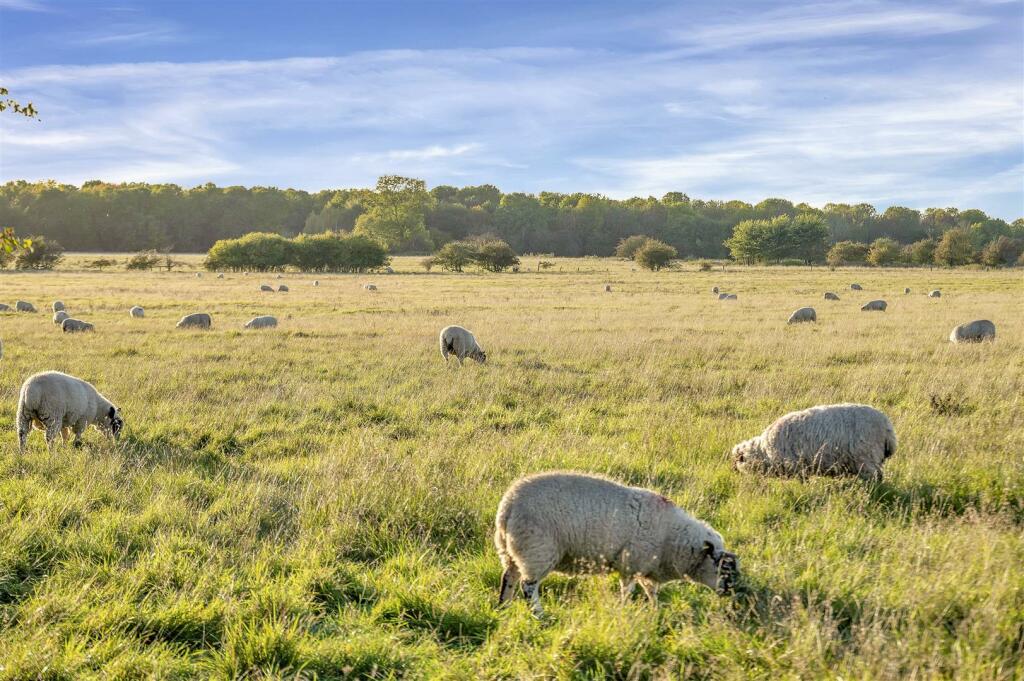 Additional image 6 of Wolfhampcote, Rugby