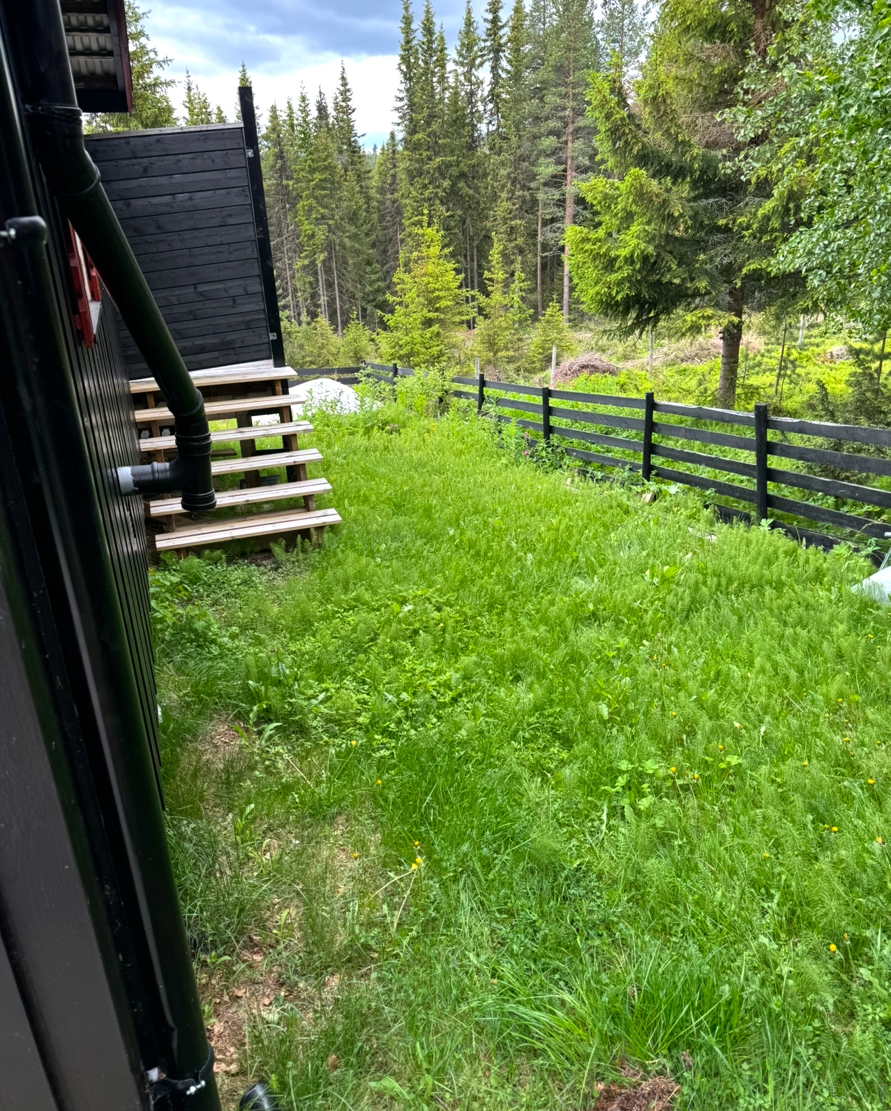 Additional image 3 of 3540 Nesbyen