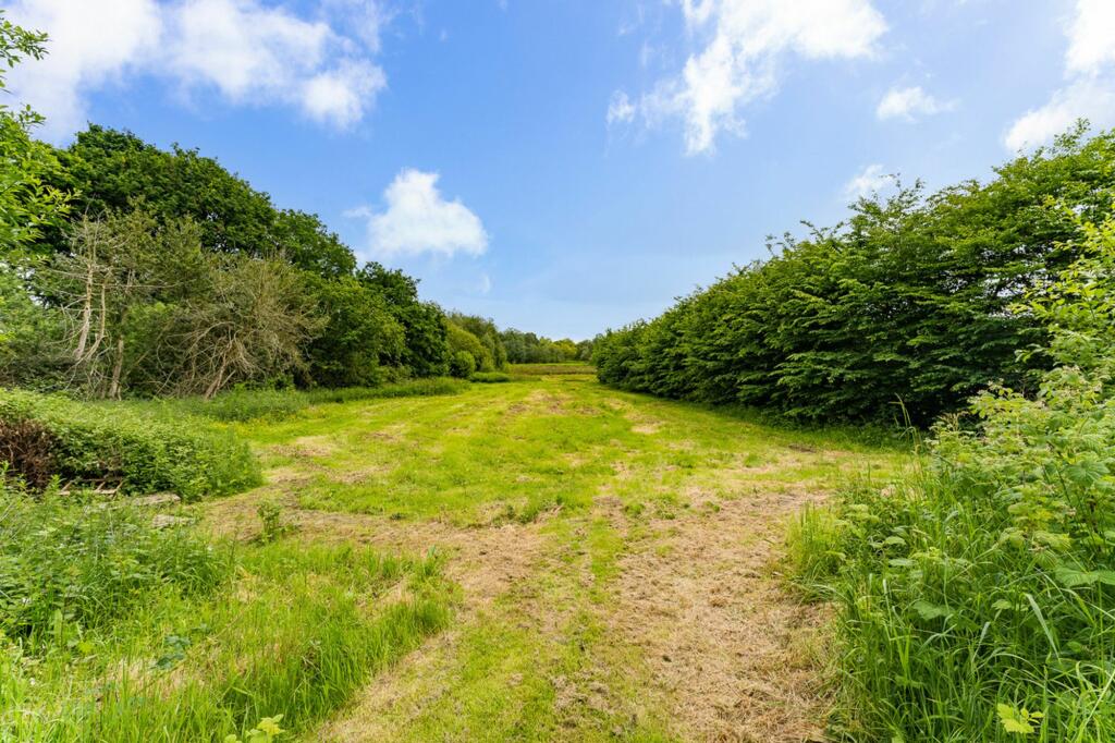 Additional image 13 of Extended Oakmere home with a large plot.