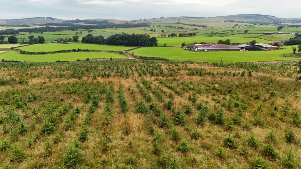 Additional image 10 of Hotts Hill Forest, Waterbeck, Lockerbie DG11 3HA