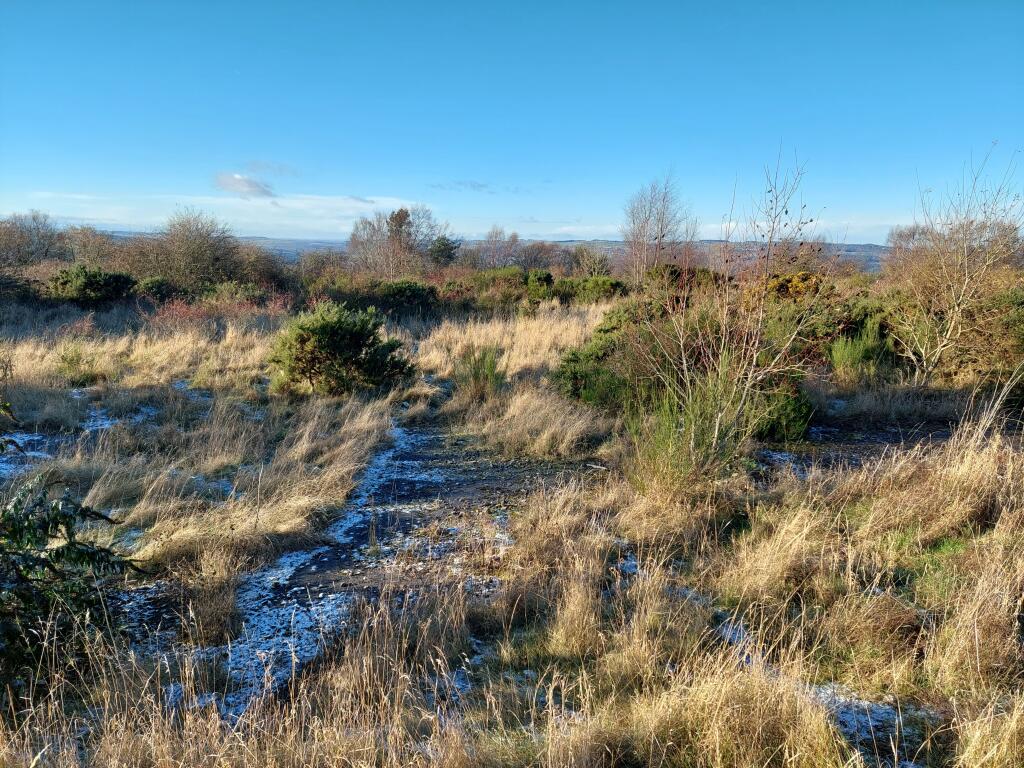 Additional image 9 of Land North of Freicks Buildings, Front Street, County Durham, DH9 9JZ