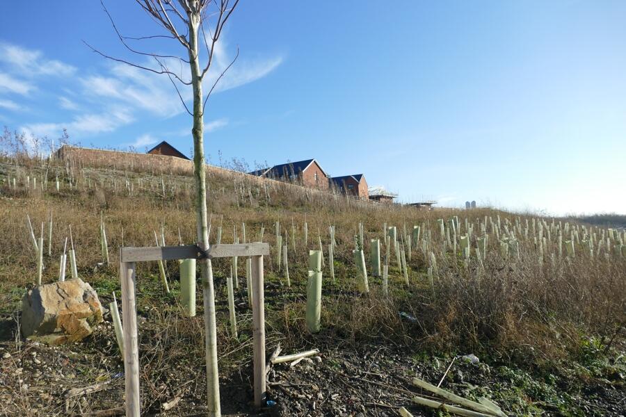Additional image 14 of Plot C Shipley Lakeside, Pit Lane, Shipley, Heanor, Derbyshire