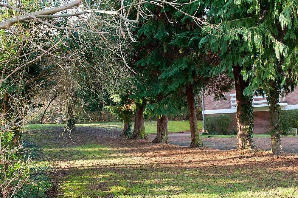 Additional image 10 of Minster Court, Alderminster Road, Eastern Green