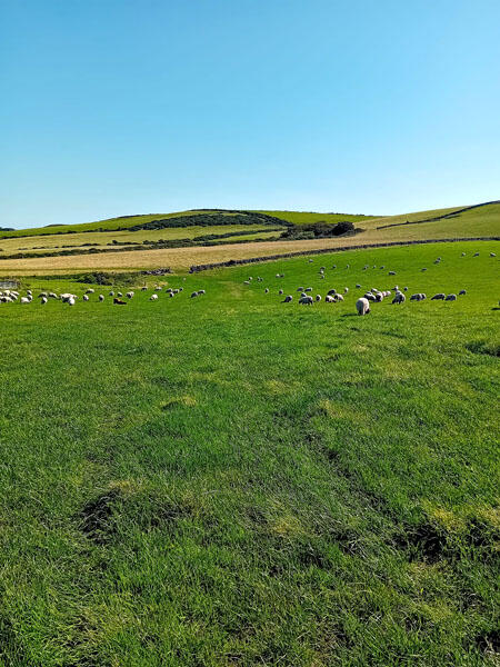 Additional image 8 of Land at Muldaddie