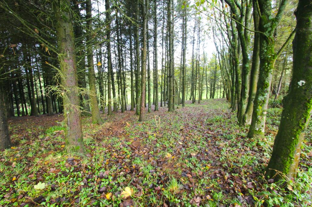 Additional image 34 of Glencroft, Portpatrick, DG9 9AD