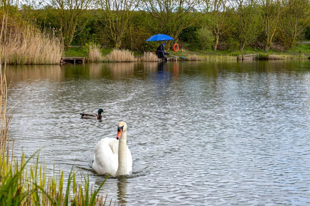 Additional image 20 of Angel Of The North Fishing Lakes, Bassets Lookout, Northside, Birtley
