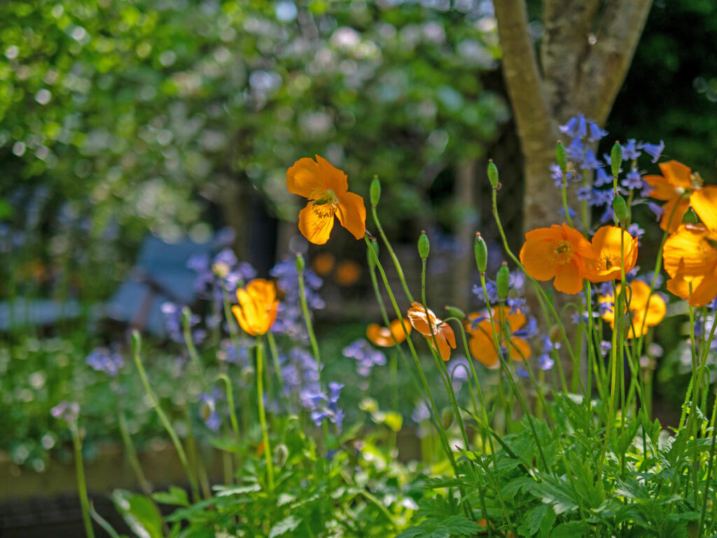 Additional image 24 of Stretton under Fosse Rugby, Warwickshire, CV23 0PF