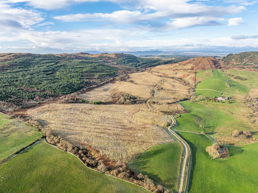 Dungarry Hill Plantation, Auchencairn, Castle Douglas, DG7