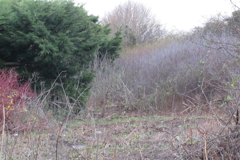 Additional image 6 of Bartlett Drive, Whitstable