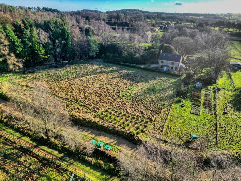 Additional image 48 of Allen Lane, Tansley