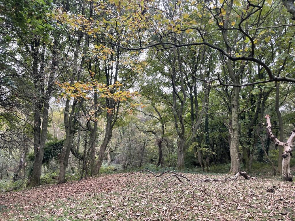 Additional image 10 of Land at Wallnook Lane, Langley Park, Durham