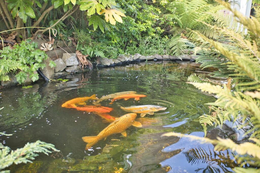 Additional image 20 of Cherry Garden Avenue, Folkestone, CT19