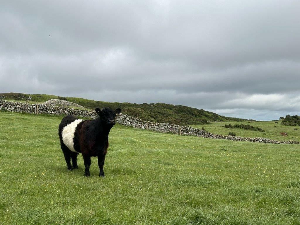 Additional image 26 of HIgh Auchenlarie & Holecroft Farms