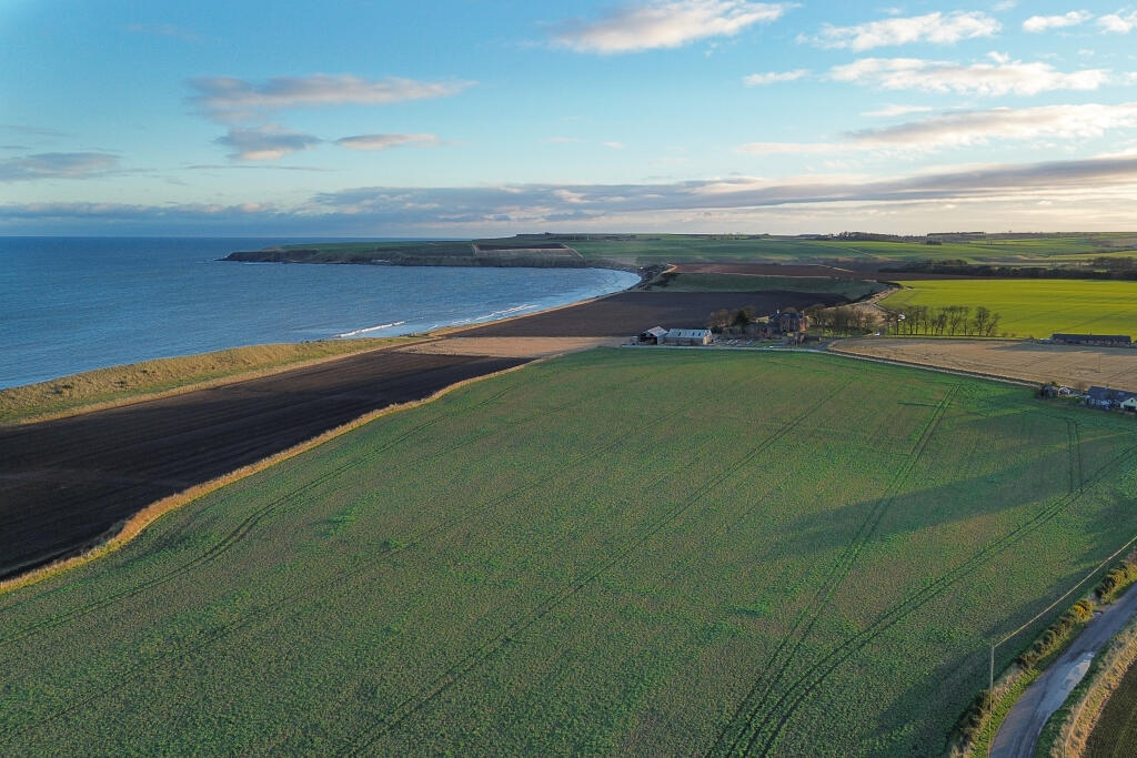 Additional image 33 of Redcastle, Arbroath, DD11