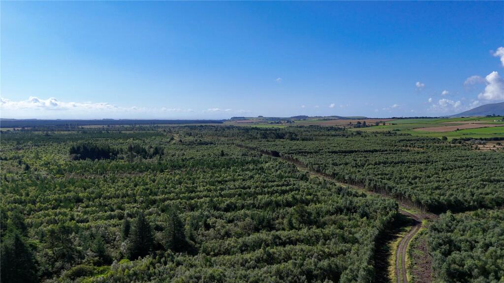 Additional image 22 of Fleet Forest, Fleet Forest, Dumfries, Dumfries & Galloway, South West Scotland, DG1