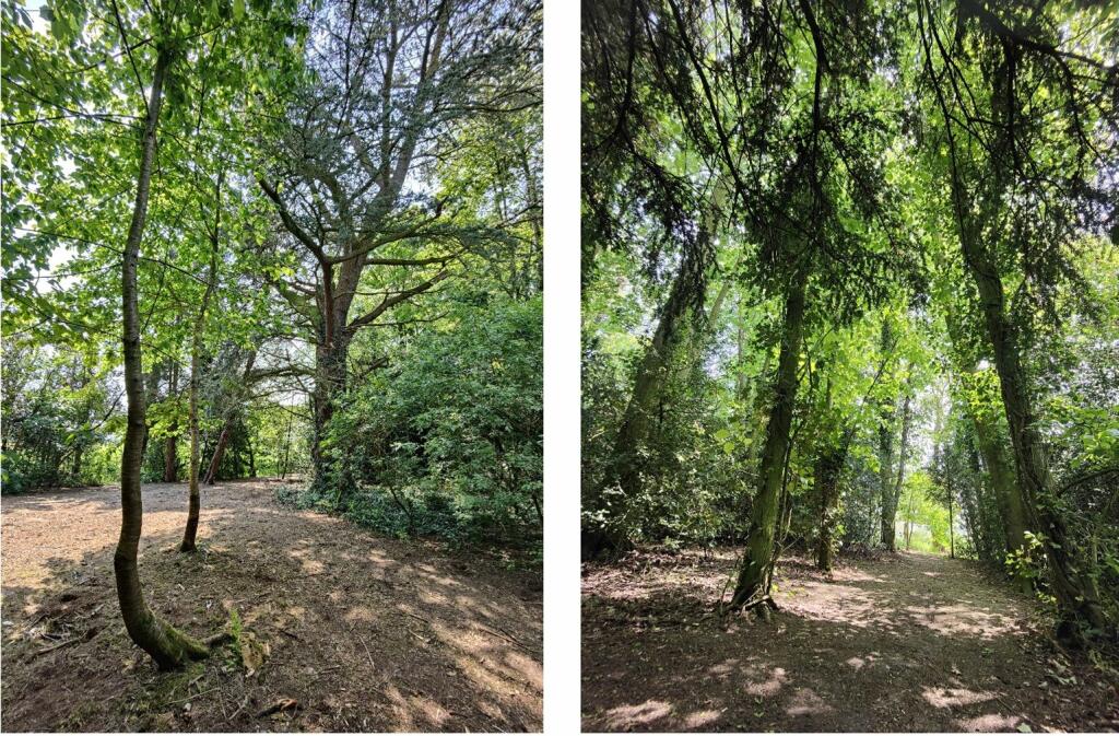 Additional image 19 of Audley Road, Barthomley, Cheshire, CW2