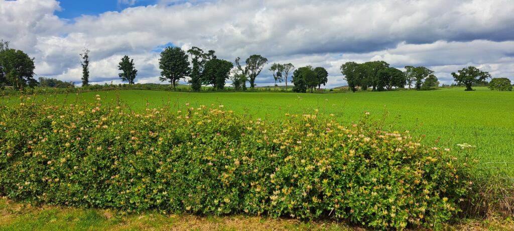 Additional image 12 of Lundie, Dundee, Angus