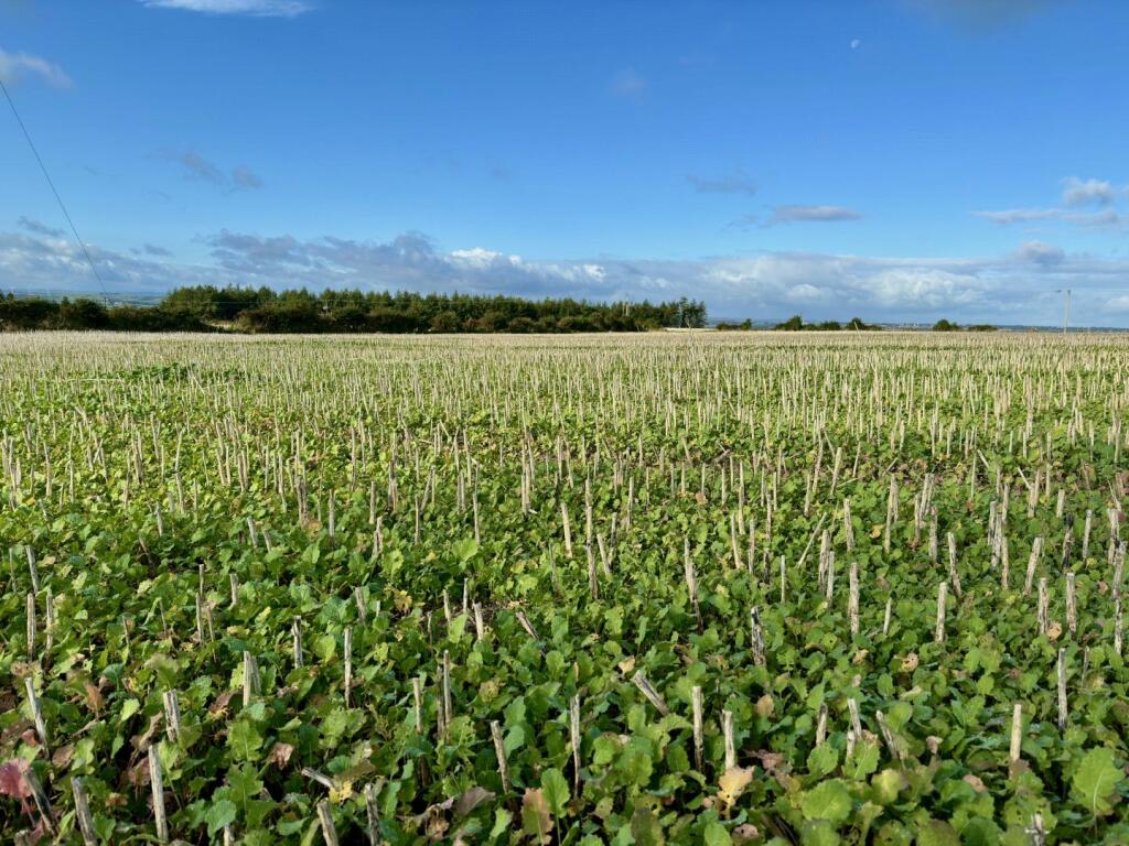 Additional image 6 of Land at Lanchester, Peth Lane, Lanchester, Durham