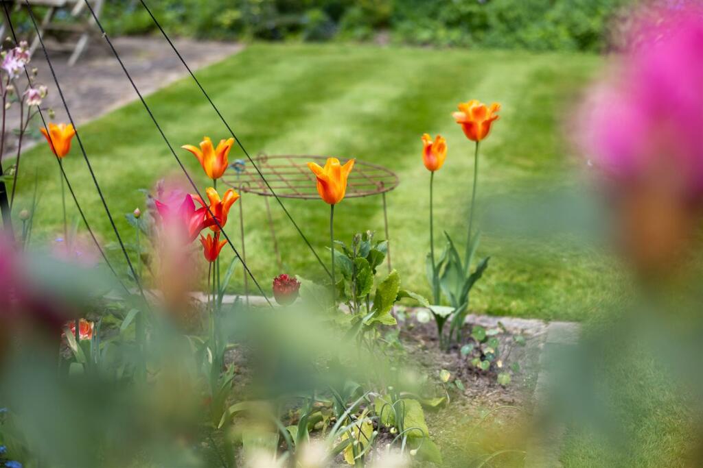 Additional image 6 of Thornton House & Thornton Cottage, Crewe Road, Nantwich