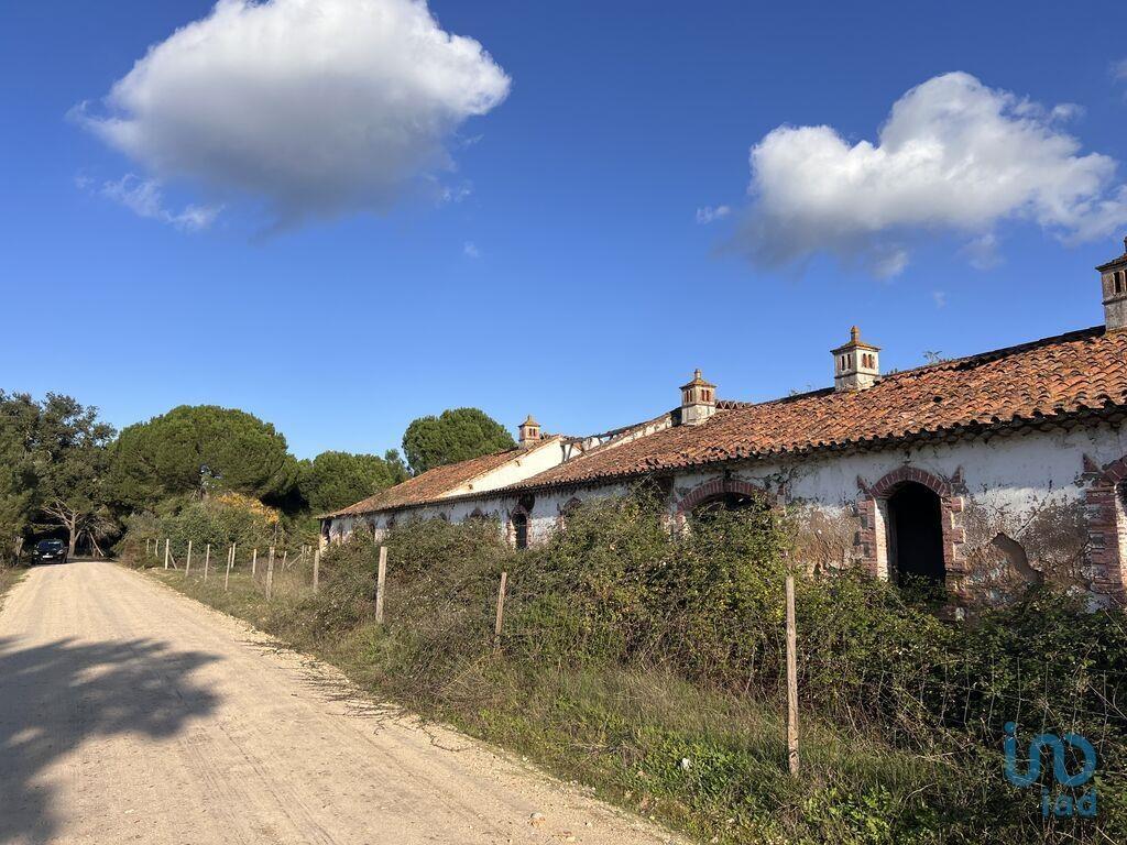 Additional image 3 of Ribatejo, Chouto, Portugal