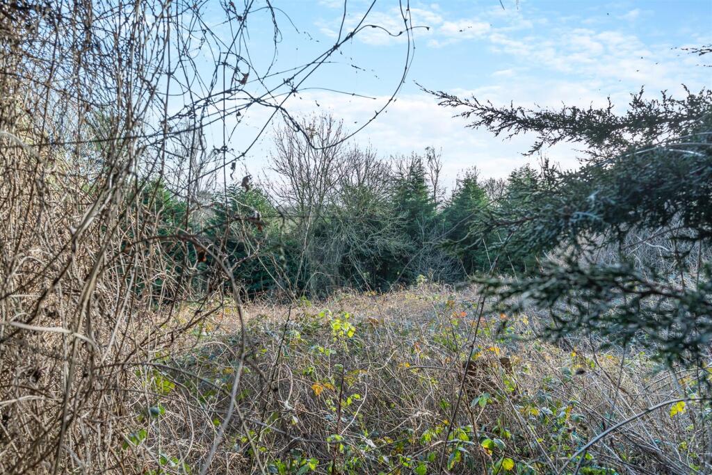 Additional image 44 of Station Hill, Fillongley