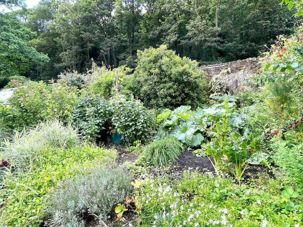 Additional image 22 of High Peak Junction, Near Cromford DE4